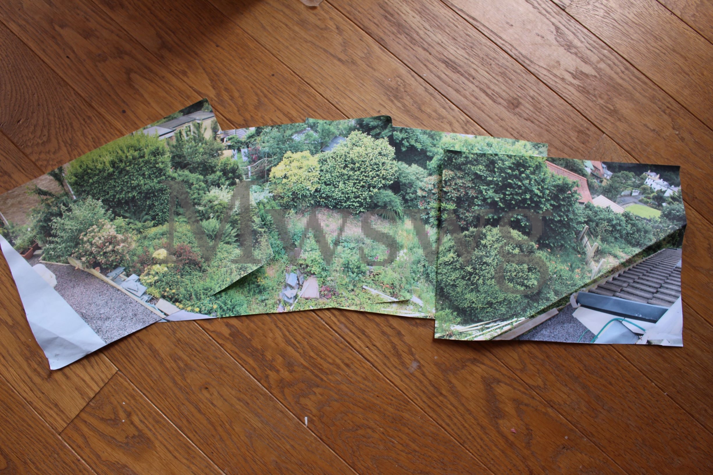 The lower garden was overgrown and very uneven.